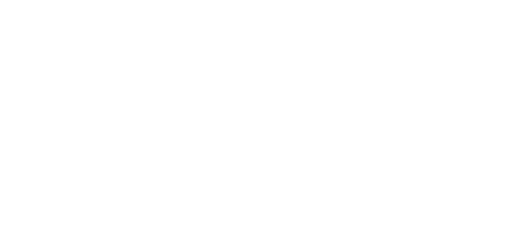 Balmoral Conservatory Insulation LTD logo white